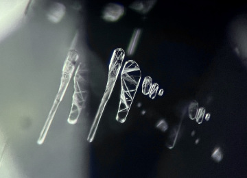 A-series-of-negative-crystals-in-a-Sri-Lankan-sapphire-showing-cobweb-like-surface-etchings