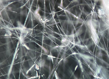 Acicular-inclusions-in-an-afghanite