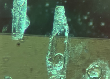 Blocky-two-phase-inclusions-in-a-schist-hosted-emerald