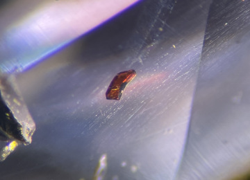 Brownish-crystal-possibly-phlogopite-mica-in-a-Sri-Lankan-sapphire