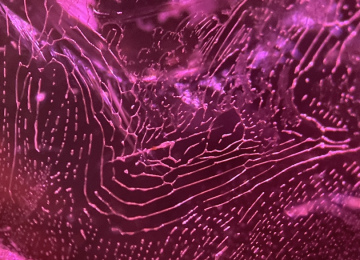Coarse-partially-healed-fingerprint-in-a-spinel