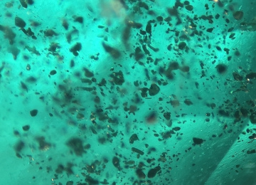 Dark-platelet-inclusions-in-an-emerald
