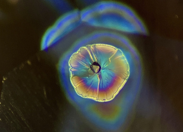 Decrepitation-disc-in-a-Basalt-related-sapphire