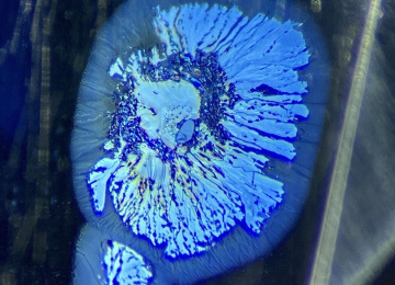 Decrepitation-feature-in-a-sapphire