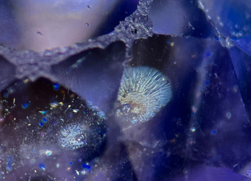 Decrepitation-features-in-a-Montana-sapphire