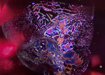 Decrepitation-halo-surrounding-a-melted-crystal-inclusion-in-a-ruby