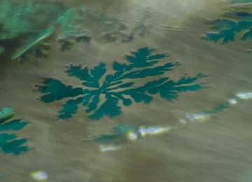 Dentritic-patterns-reveal-the-presence-of-oil-in-in-a-fracture-in-this-emerald