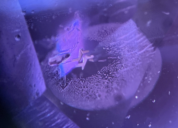 Fingerprint-in-a-sapphire-showing-rectilinear-form