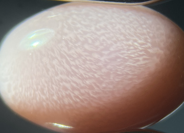 Flame-Structure-on-the-surface-of-a-conch-pearl