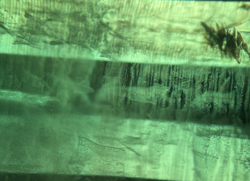 Flux-veils-and-Venetian-Blinds-in-a-synthetic-flux-emerald