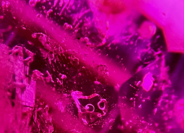 Gas-bubbles-trapped-inside-a-negative-crystal-in-a-ruby-1