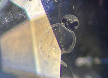 Heat-altered-fingerprint-in-a-sapphire