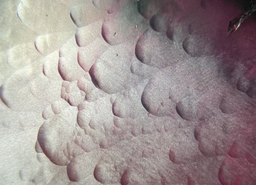 Hillock-growth-features-on-the-surface-of-a-synthetic-amethyst