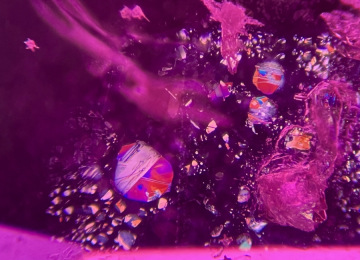 Iridescent-platelets-in-a-ruby-from-Mozambique