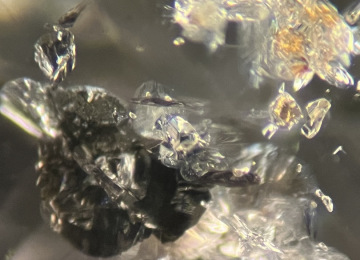 Mineral-inclusions-in-a-diamond