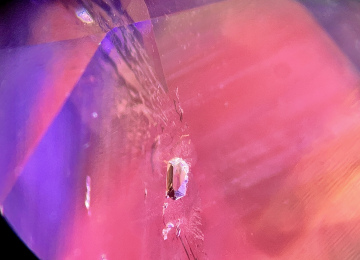 Negative-crystal-in-a-sapphire