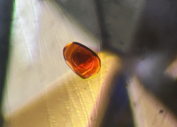 Orangey-brown-phlogopite-mica-in-a-Sri-Lankan-sapphire