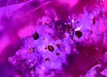 Orangey-crystals-believed-to-be-sphalerite-inside-a-Burmese-ruby