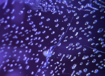 Plane-of-tabular-negative-crystals-in-a-sapphire