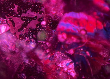 Reflective-decrepitation-halos-and-rosette-inclusions-in-a-Thai-ruby