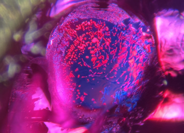 Reflective-fingerprint-in-a-ruby
