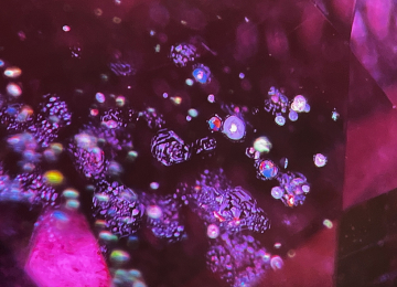 Reflective-hexagonal-rosettes-and-atoll-inclusions-in-a-Thai-ruby