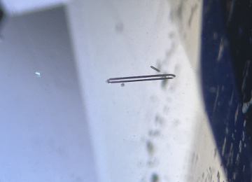 Rod-like-crystal-in-a-sapphire
