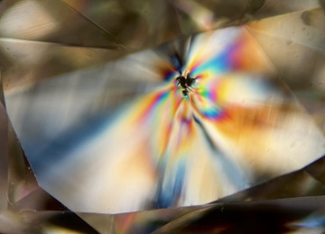 Strain-pattern-surrounding-a-crystal-inclusion-in-a-diamond-under-crossed-polars