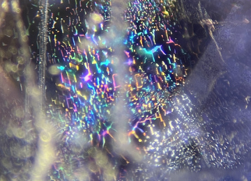 Strong-interference-colours-shown-across-a-reflective-fingerprint-in-a-Sri-Lankan-sapphire