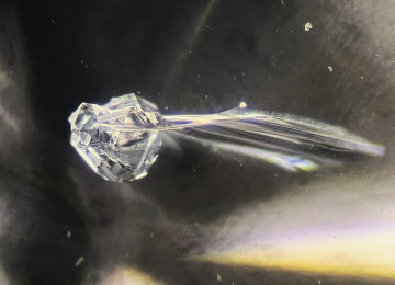 The-Diamond-Snitch.-An-unidentified-crystal-inclusion-in-a-diamond-with-adjacent-fracture-resembling-wings
