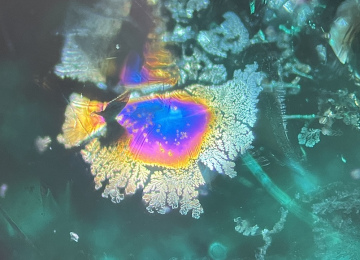 The-dried-out-filler-in-a-fissure-in-this-emerald-shows-a-dendritic-form