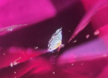 This-decrepitation-inclusion-in-a-Thai-ruby-resembles-a-butterfly