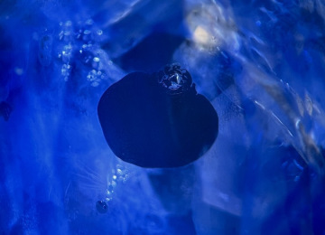 This-reflective-heat-disc-in-a-sapphire-forms-a-dark-void-in-the-centre-of-the-stone-2