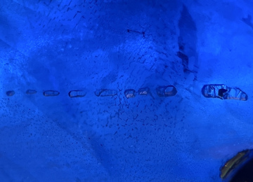 Train-of-negative-crystal-inclusions-in-a-Sri-Lankan-Sapphire