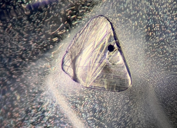 Triangular-negative-crystal-in-a-Sri-Lankan-sapphire-showing-trapped-bubble-and-small-dark-crystal