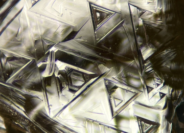 Trigons-across-the-surface-of-a-diamond-macle
