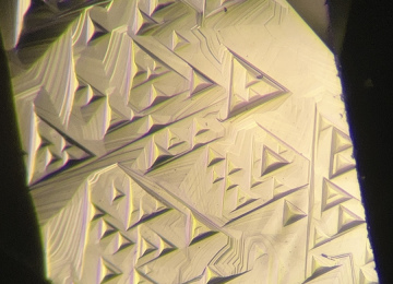 Trigons-on-the-surface-of-a-diamond
