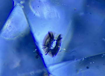 Zircon-Fly-feature-in-a-Sri-Lankan-sapphire